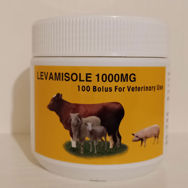 Levomizole Bolus 1000mg-2